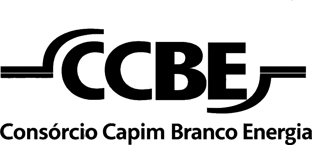 Logo CCBE